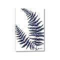 Picture of Fern on white  II _GroupedProduct_Rectangle_Portrait_Canvas_
