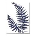 Picture of Fern on white  II _GroupedProduct_Rectangle_Portrait_Canvas_