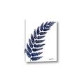 Picture of Fern on white I _GroupedProduct_Rectangle_Portrait_Canvas_