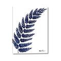 Picture of Fern on white I _GroupedProduct_Rectangle_Portrait_Canvas_