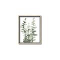 Picture of Eucalyptus Growing I _GroupedProduct_Rectangle_Portrait_Canvas_Framed_