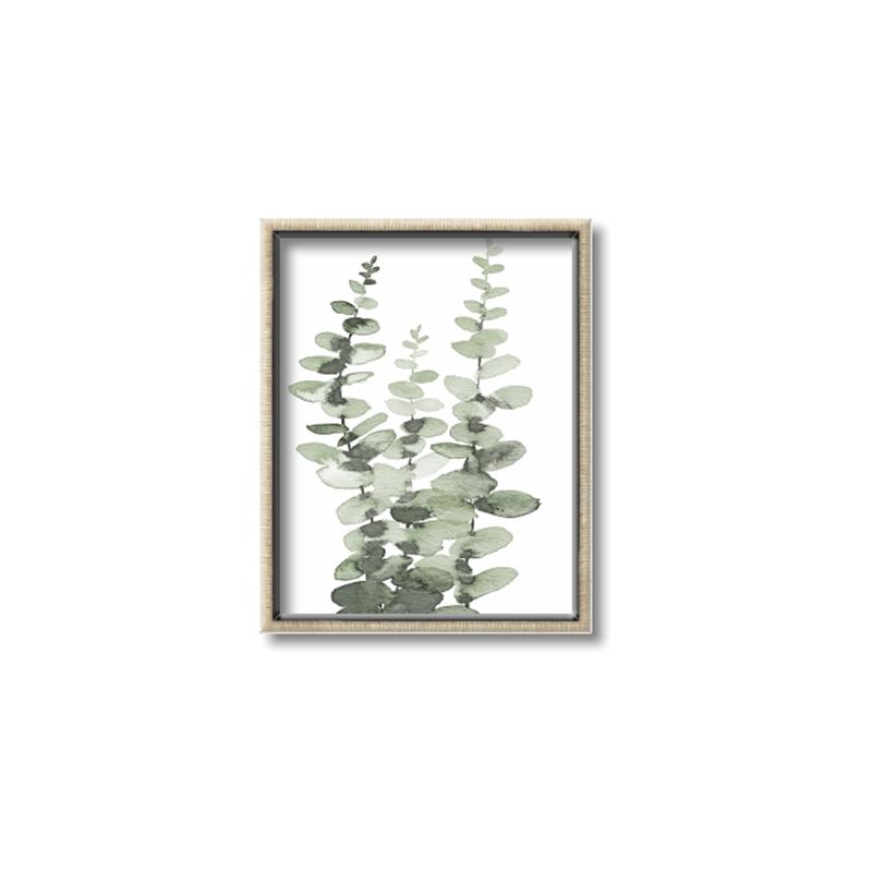 Picture of Eucalyptus Growing I _GroupedProduct_Rectangle_Portrait_Canvas_Framed_