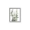 Picture of Eucalyptus Growing I _GroupedProduct_Rectangle_Portrait_Canvas_Framed_