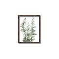 Picture of Eucalyptus Growing I _GroupedProduct_Rectangle_Portrait_Canvas_Framed_