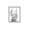 Picture of Eucalyptus Growing I _GroupedProduct_Rectangle_Portrait_Canvas_Framed_