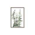 Picture of Eucalyptus Growing I _GroupedProduct_Rectangle_Portrait_Canvas_Framed_