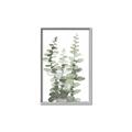 Picture of Eucalyptus Growing I _GroupedProduct_Rectangle_Portrait_Canvas_Framed_
