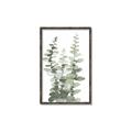 Picture of Eucalyptus Growing I _GroupedProduct_Rectangle_Portrait_Canvas_Framed_