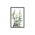 Picture of Eucalyptus Growing I _GroupedProduct_Rectangle_Portrait_Canvas_Framed_