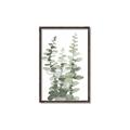 Picture of Eucalyptus Growing I _GroupedProduct_Rectangle_Portrait_Canvas_Framed_