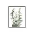 Picture of Eucalyptus Growing I _GroupedProduct_Rectangle_Portrait_Canvas_Framed_