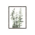 Picture of Eucalyptus Growing I _GroupedProduct_Rectangle_Portrait_Canvas_Framed_