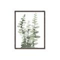 Picture of Eucalyptus Growing I _GroupedProduct_Rectangle_Portrait_Canvas_Framed_