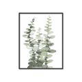 Picture of Eucalyptus Growing I _GroupedProduct_Rectangle_Portrait_Canvas_Framed_