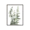 Picture of Eucalyptus Growing I _GroupedProduct_Rectangle_Portrait_Canvas_Framed_