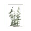 Picture of Eucalyptus Growing I _GroupedProduct_Rectangle_Portrait_Canvas_Framed_