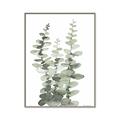 Picture of Eucalyptus Growing I _GroupedProduct_Rectangle_Portrait_Canvas_Framed_