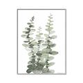 Picture of Eucalyptus Growing I _GroupedProduct_Rectangle_Portrait_Canvas_Framed_