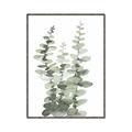 Picture of Eucalyptus Growing I _GroupedProduct_Rectangle_Portrait_Canvas_Framed_