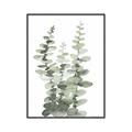 Picture of Eucalyptus Growing I _GroupedProduct_Rectangle_Portrait_Canvas_Framed_