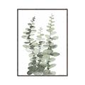 Picture of Eucalyptus Growing I _GroupedProduct_Rectangle_Portrait_Canvas_Framed_