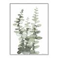 Picture of Eucalyptus Growing I _GroupedProduct_Rectangle_Portrait_Canvas_Framed_