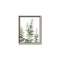 Picture of Eucalyptus Growing II  _GroupedProduct_Rectangle_Portrait_Canvas_Framed_