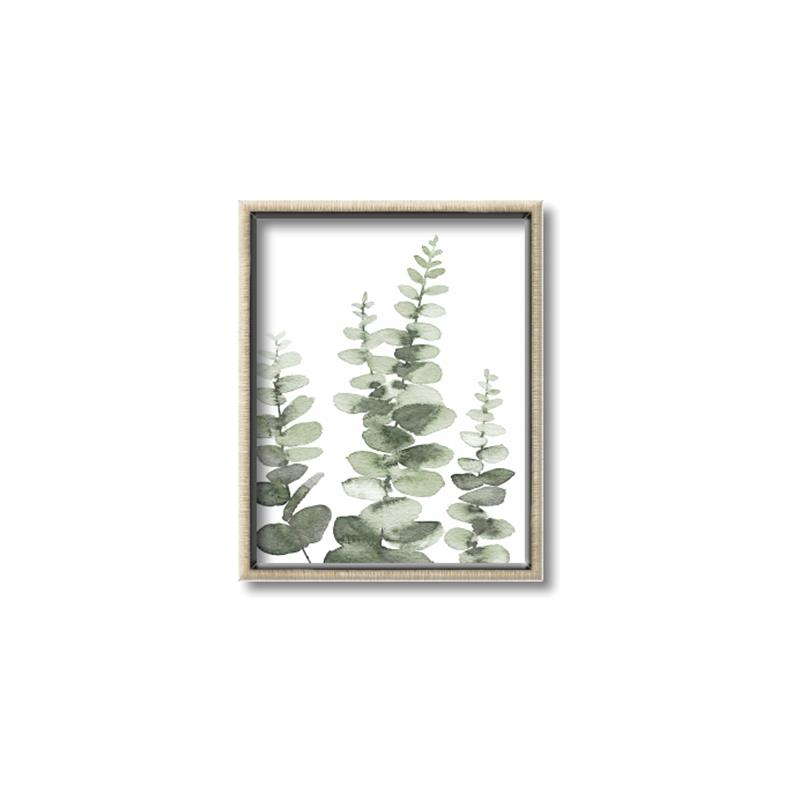 Picture of Eucalyptus Growing II  _GroupedProduct_Rectangle_Portrait_Canvas_Framed_