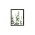 Picture of Eucalyptus Growing II  _GroupedProduct_Rectangle_Portrait_Canvas_Framed_
