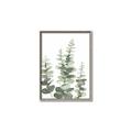 Picture of Eucalyptus Growing II  _GroupedProduct_Rectangle_Portrait_Canvas_Framed_