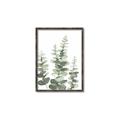 Picture of Eucalyptus Growing II  _GroupedProduct_Rectangle_Portrait_Canvas_Framed_