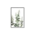 Picture of Eucalyptus Growing II  _GroupedProduct_Rectangle_Portrait_Canvas_Framed_
