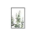 Picture of Eucalyptus Growing II  _GroupedProduct_Rectangle_Portrait_Canvas_Framed_