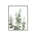 Picture of Eucalyptus Growing II  _GroupedProduct_Rectangle_Portrait_Canvas_Framed_