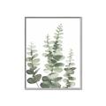 Picture of Eucalyptus Growing II  _GroupedProduct_Rectangle_Portrait_Canvas_Framed_