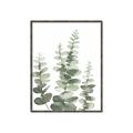 Picture of Eucalyptus Growing II  _GroupedProduct_Rectangle_Portrait_Canvas_Framed_