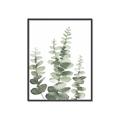 Picture of Eucalyptus Growing II  _GroupedProduct_Rectangle_Portrait_Canvas_Framed_