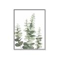 Picture of Eucalyptus Growing II  _GroupedProduct_Rectangle_Portrait_Canvas_Framed_