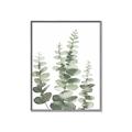 Picture of Eucalyptus Growing II  _GroupedProduct_Rectangle_Portrait_Canvas_Framed_