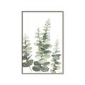 Picture of Eucalyptus Growing II  _GroupedProduct_Rectangle_Portrait_Canvas_Framed_