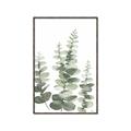 Picture of Eucalyptus Growing II  _GroupedProduct_Rectangle_Portrait_Canvas_Framed_
