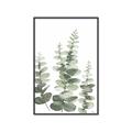 Picture of Eucalyptus Growing II  _GroupedProduct_Rectangle_Portrait_Canvas_Framed_