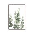 Picture of Eucalyptus Growing II  _GroupedProduct_Rectangle_Portrait_Canvas_Framed_
