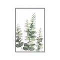 Picture of Eucalyptus Growing II  _GroupedProduct_Rectangle_Portrait_Canvas_Framed_