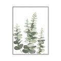 Picture of Eucalyptus Growing II  _GroupedProduct_Rectangle_Portrait_Canvas_Framed_