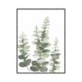 Picture of Eucalyptus Growing II  _GroupedProduct_Rectangle_Portrait_Canvas_Framed_