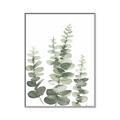 Picture of Eucalyptus Growing II  _GroupedProduct_Rectangle_Portrait_Canvas_Framed_
