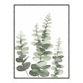 Picture of Eucalyptus Growing II  _GroupedProduct_Rectangle_Portrait_Canvas_Framed_