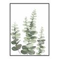 Picture of Eucalyptus Growing II  _GroupedProduct_Rectangle_Portrait_Canvas_Framed_