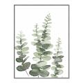 Picture of Eucalyptus Growing II  _GroupedProduct_Rectangle_Portrait_Canvas_Framed_